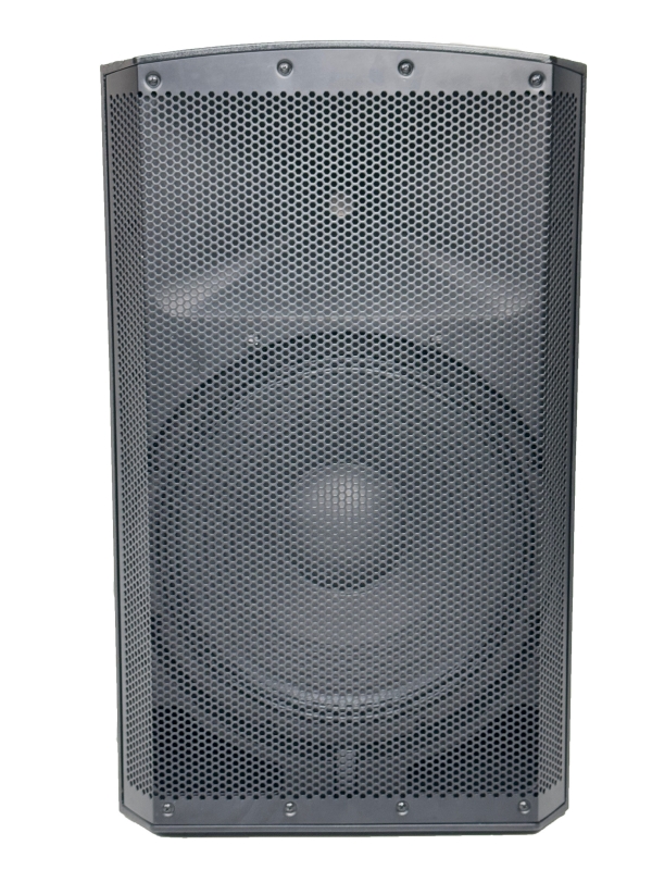 PE15A Full Range Speaker