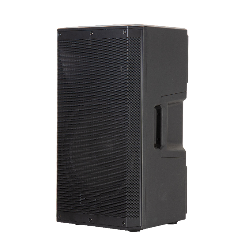 PD15A Full Range Speaker - Image 3