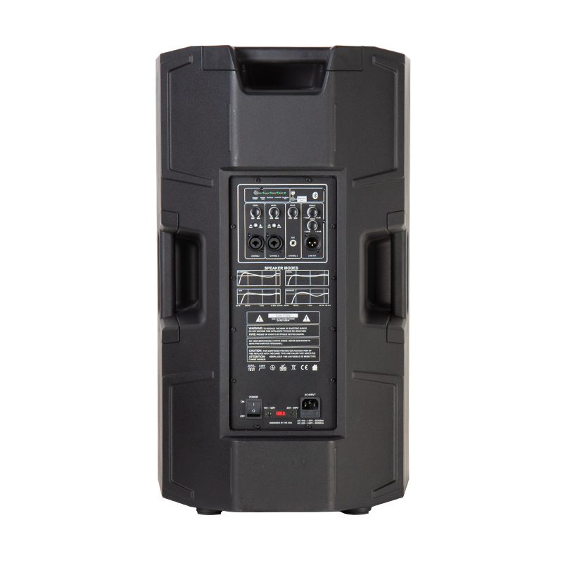 PD15A Full Range Speaker - Image 4