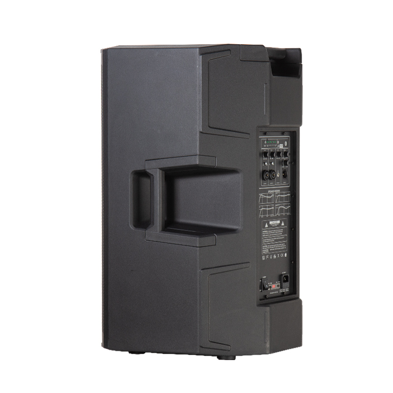 PD15A Full Range Speaker - Image 5