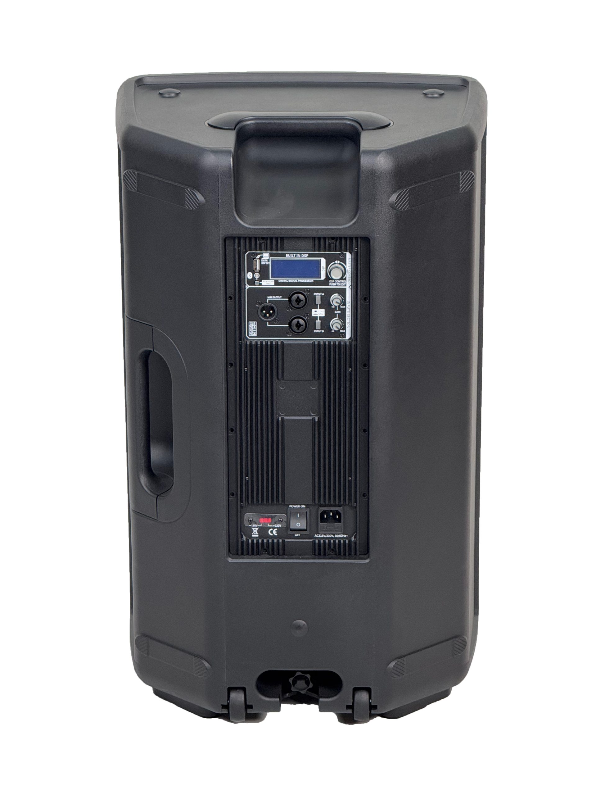 PF15A Full Range Speaker - Image 4